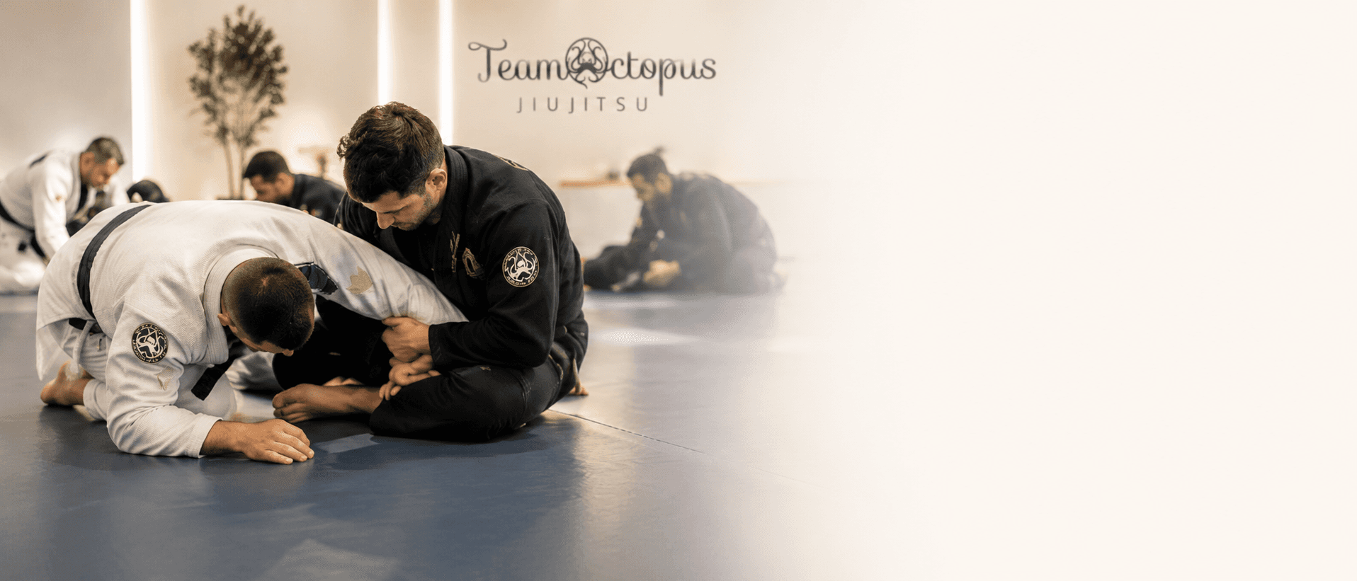 Photo: Training with our instructors